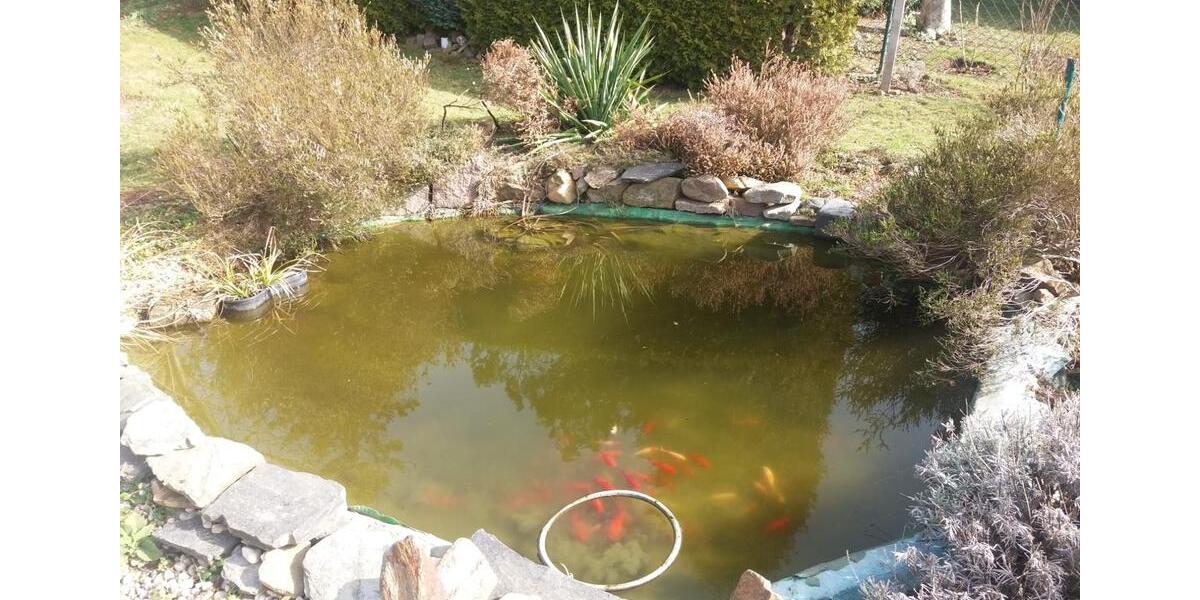 Grundstück Chemnitz Kapellenberg - 1.750&euro; | Angebot:18935503