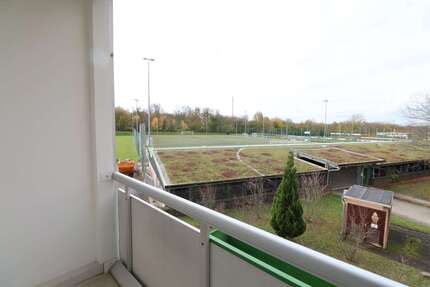 Wohnung zum Mieten in Chemnitz 195 € 31 m² 1 zimmer