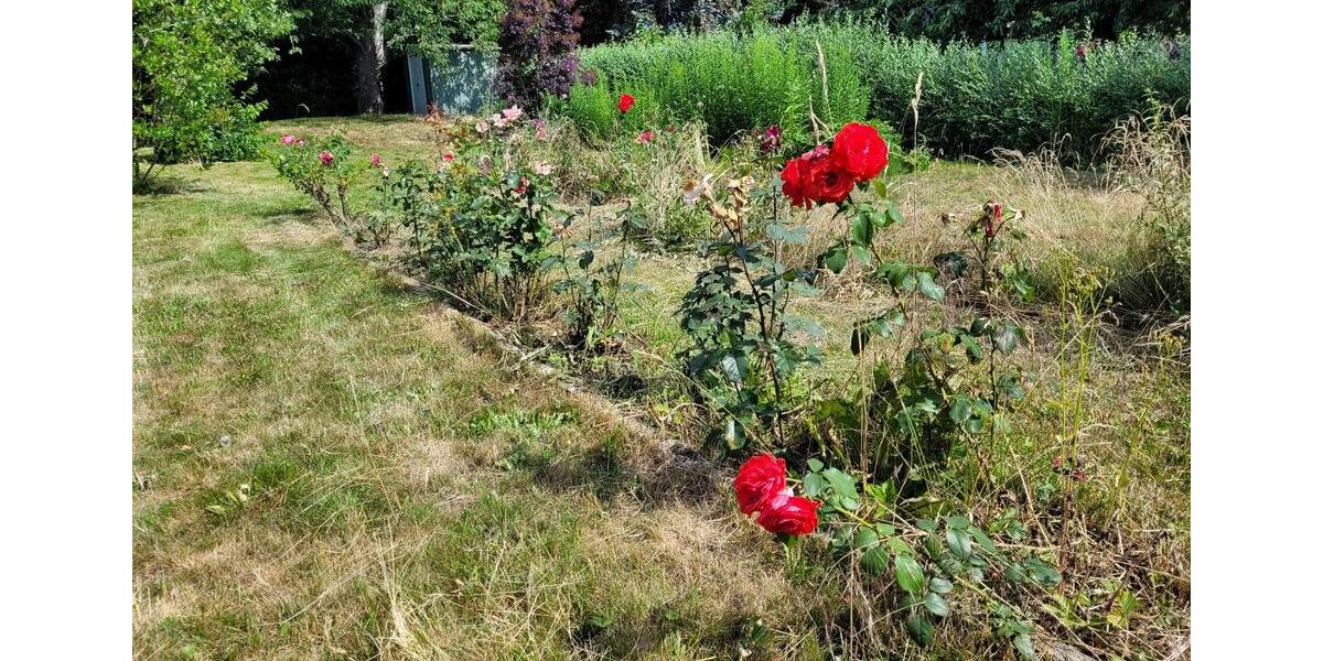 Grundstück Chemnitz Wittgensdorf - 100&euro; | Angebot:16064164