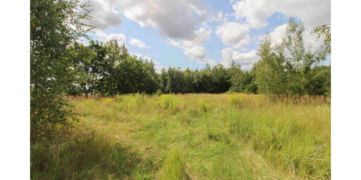 Grundstück Chemnitz Yorckgebiet - 222.000&euro; | Angebot:26093955