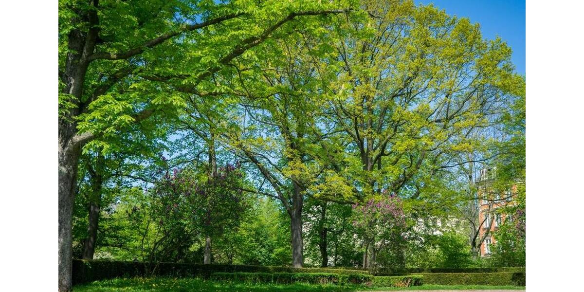 Dachgeschoßwohnung Chemnitz Hilbersdorf - 2 Zimmer, 60 m&sup2;, 332&euro; | Angebot:25369185