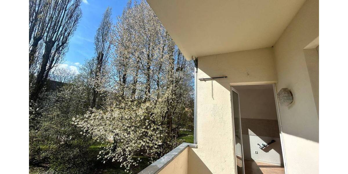 Etagenwohnung Chemnitz Kaßberg - 2 Zimmer, 62 m&sup2;, 310&euro; | Angebot:26245554