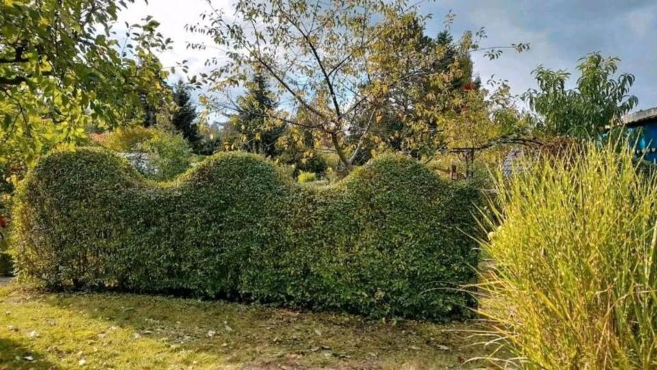 Grundstück Chemnitz Rabenstein - 800&euro; | Angebot:24367154