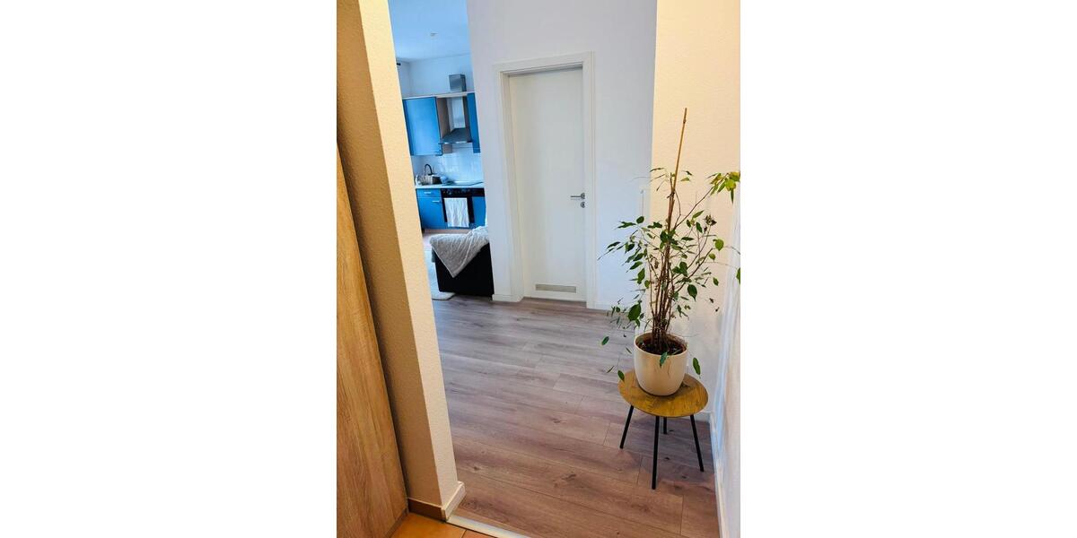 Hochparterre Chemnitz Kapellenberg - 1 Zimmer, 41 m&sup2;, 220&euro; | Angebot:26272334
