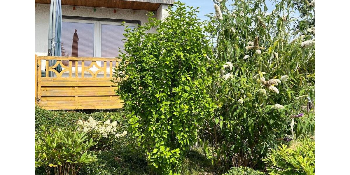 Grundstück Chemnitz Klaffenbach - 2.000&euro; | Angebot:19787980