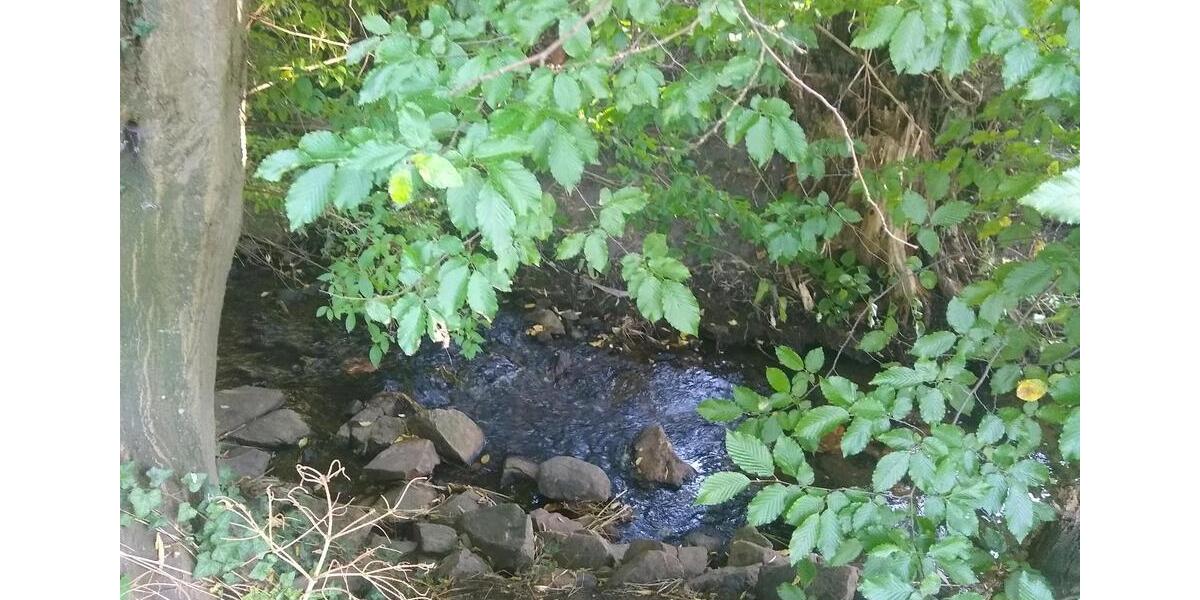 Einfamilienhaus Burgstädt - 5 Zimmer, 75 m&sup2;, 99.800&euro; | Angebot:26114359