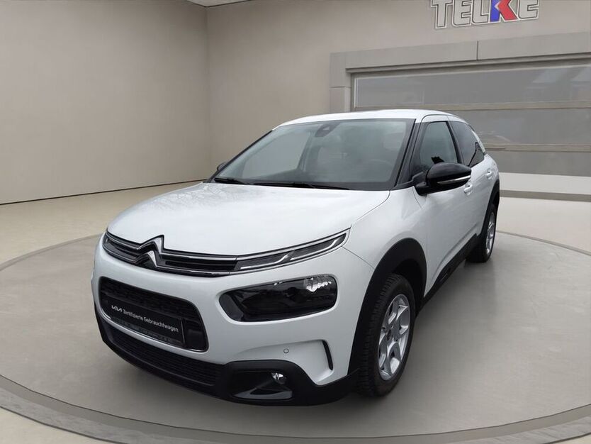 C4 Cactus