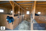 Rundum-sorglos Reitanlage, bezugsfertig Marienberg: Boxen, Reitplatz & Weiden für Freizeitreiter