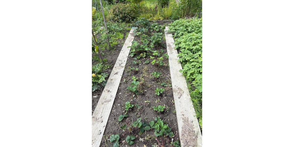 Grundstück Chemnitz Rabenstein - 1.150&euro; | Angebot:25982642