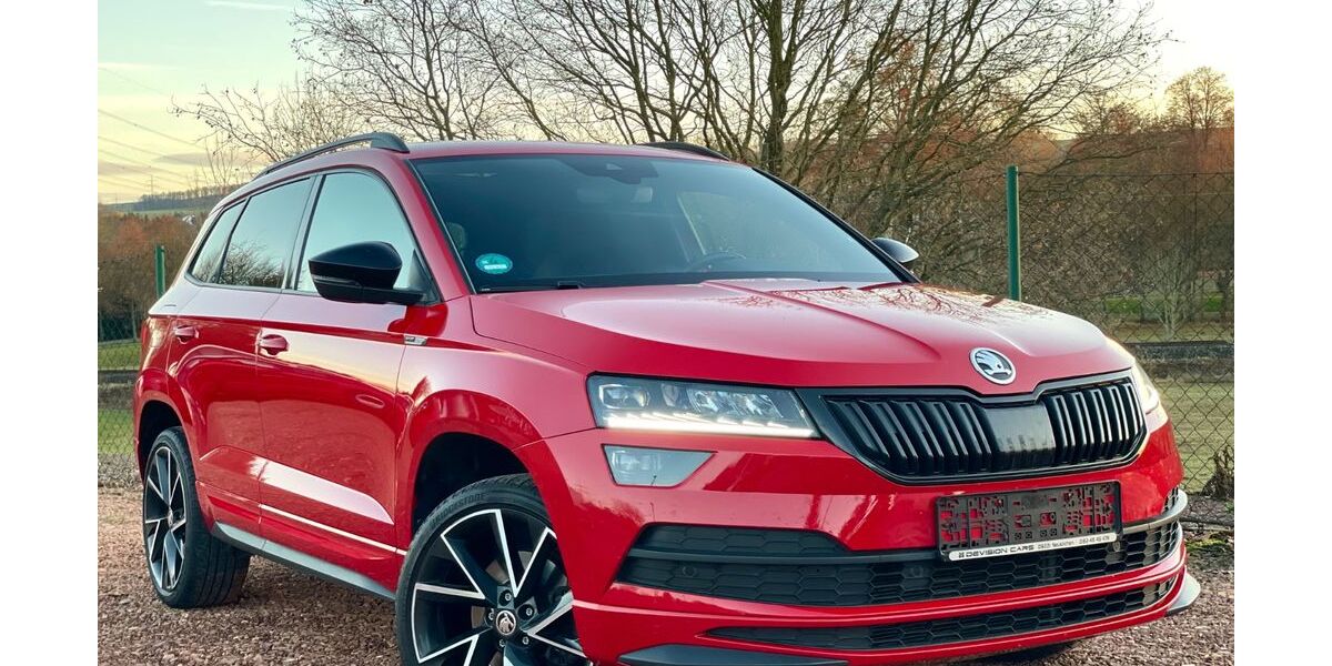 Skoda Karoq 94.250 km 20.690 &euro; Neukirchen 09221