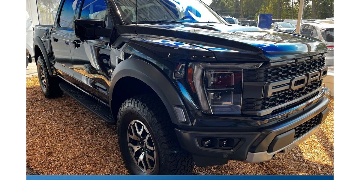 Ford F 150 3.000 km 136.990 &euro; Glauchau 08371