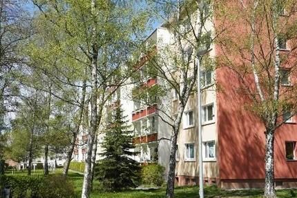 Wohnung Chemnitz Adelsberg - 3 Zimmer, 60 m&sup2;, 325&euro; | Angebot:26291381