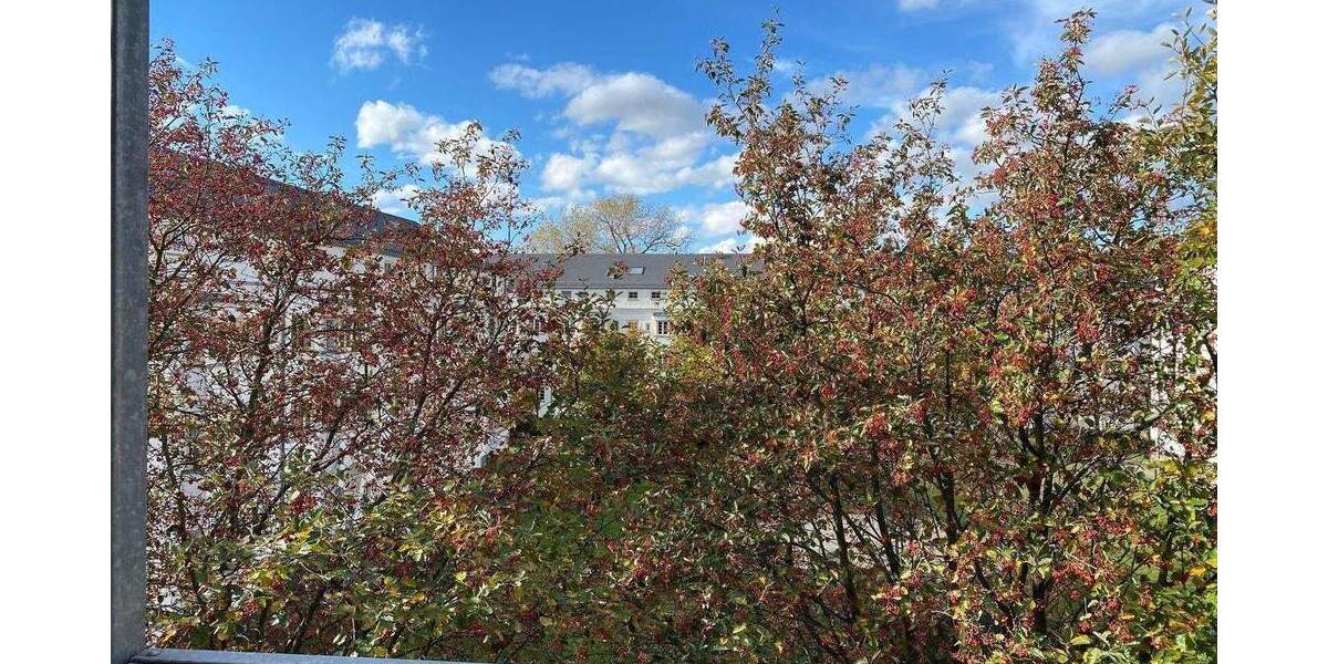 Etagenwohnung Chemnitz Lutherviertel - 2 Zimmer, 51 m&sup2;, 310&euro; | Angebot:25821580