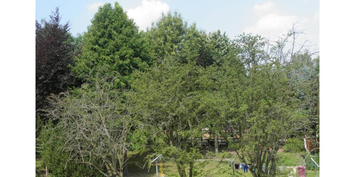 Etagenwohnung Pockau-Lengefeld Lengefeld - 1 Zimmer, 35 m&sup2;, 175&euro; | Angebot:23200490