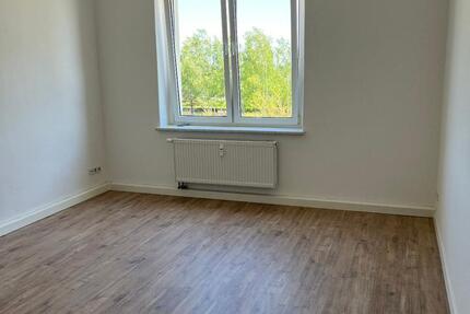 Tolle 3 Raum Wohnung 2 zimmer