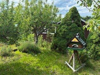 Grundstück Chemnitz Ebersdorf - 300&euro; | Angebot:25999166