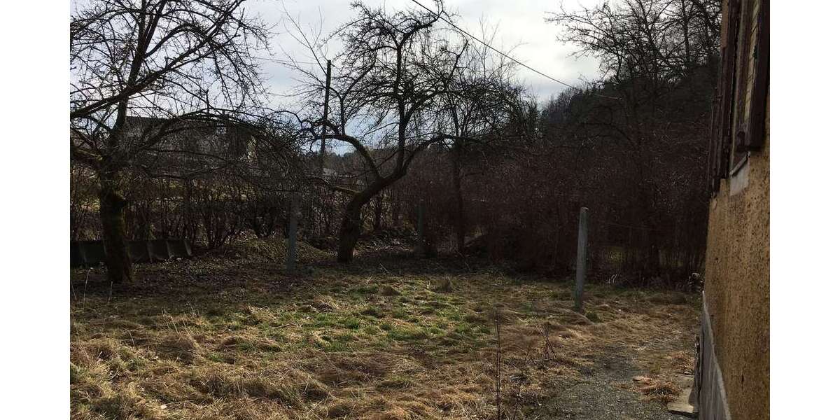 Großes Baugrundstück mit Altbestand am Waldrand in idyllischer Lage zimmer