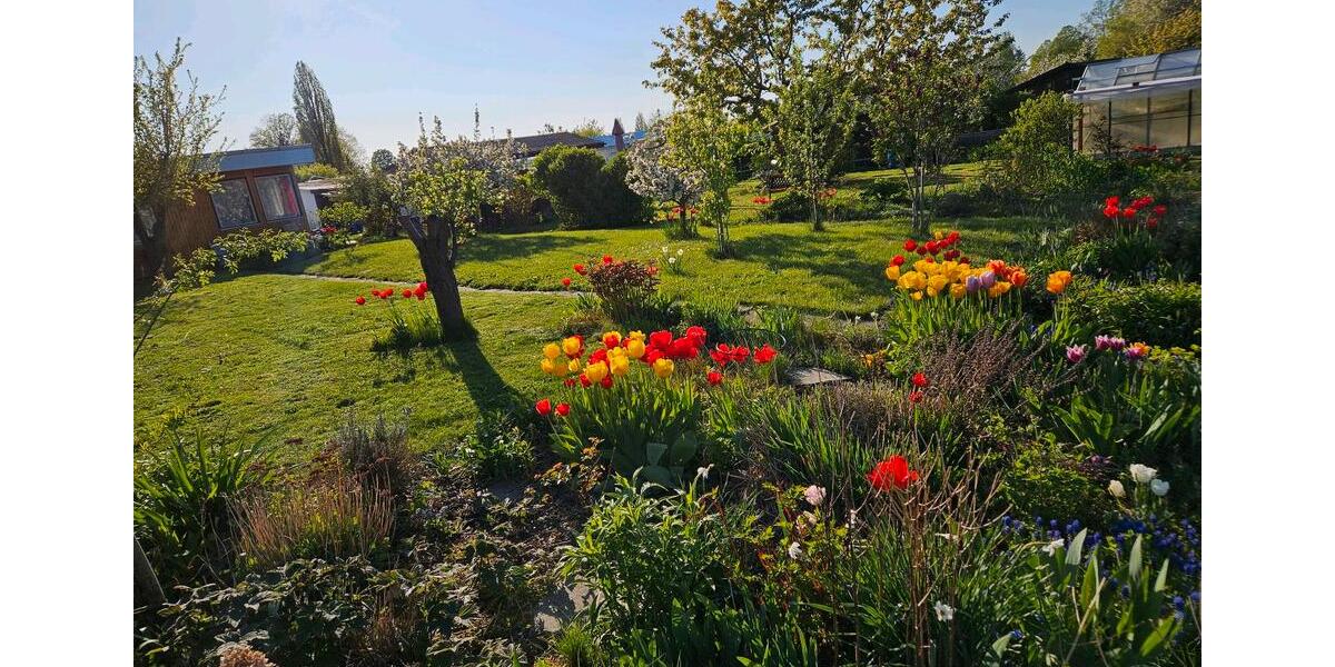 Grundstück Chemnitz Adelsberg - 2.000&euro; | Angebot:22217285