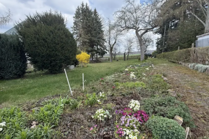 Grundstück Adelsberg Adelsberg - 179.000&euro; | Angebot:25128361