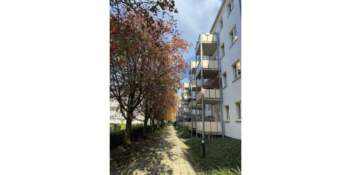 Etagenwohnung Chemnitz Lutherviertel - 2 Zimmer, 51 m&sup2;, 310&euro; | Angebot:25821580