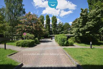 Wohnung Chemnitz / Kaßberg Kaßberg - 2 Zimmer, 53 m&sup2;, 270&euro; | Angebot:25165973