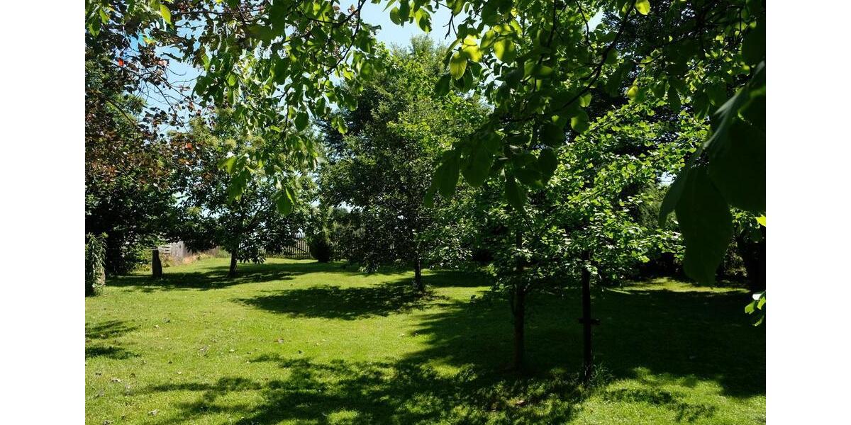 Einfamilienhaus Claußnitz - 8 Zimmer, 242 m&sup2;, 370.000&euro; | Angebot:24216218