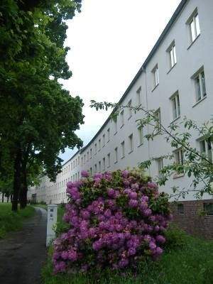 Etagenwohnung Chemnitz Gablenz - 2 Zimmer, 51 m&sup2;, 333&euro; | Angebot:26453664