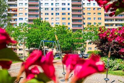 Unser Angebot: 1-Raum-Wohnung zum Verlieben! 1 zimmer