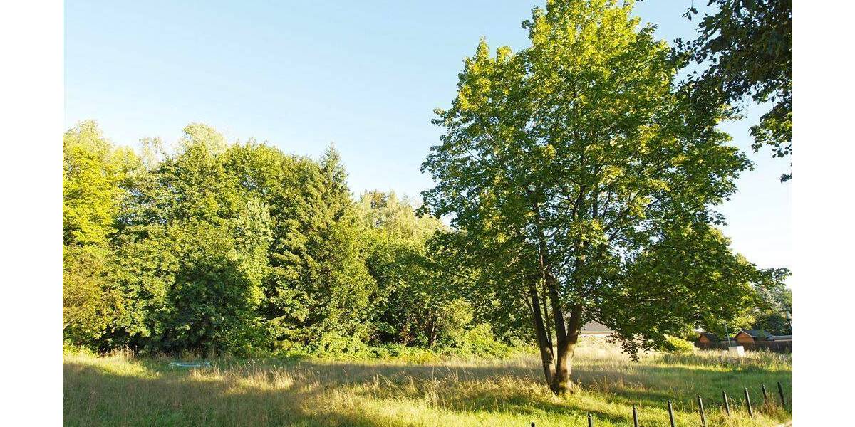 Grundstück Hainichen - 85.360&euro; | Angebot:25689455