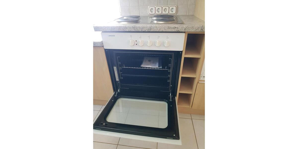 Etagenwohnung Hainichen - 1 Zimmer, 70 m&sup2;, 480&euro; | Angebot:26266991