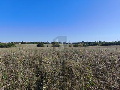VERMÖGENSANLAGE MIT ENTWICKLUNGSPOTENZIAL - Grundstück Geithain | Angebot:27327958