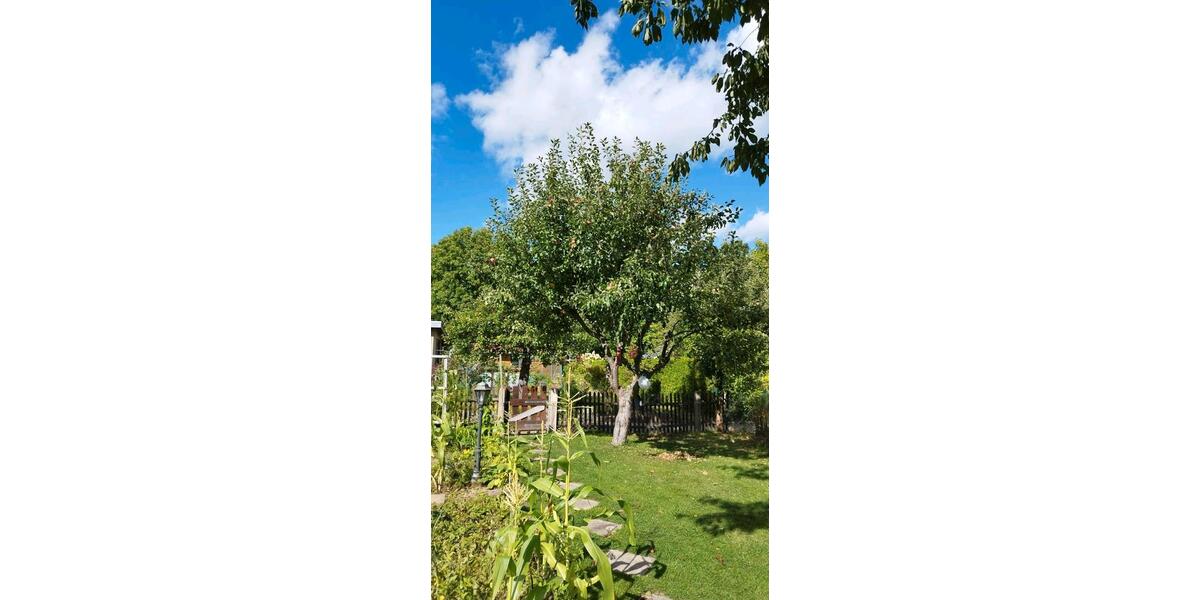 Grundstück Chemnitz - 800&euro; | Angebot:25214599