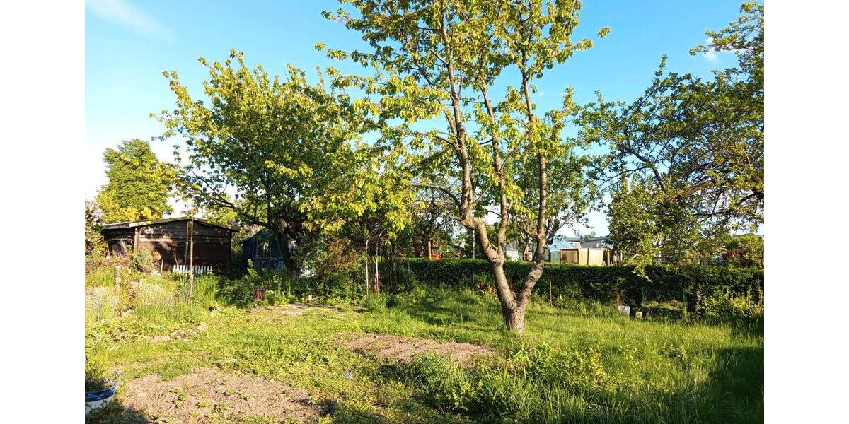 Grundstück Oberschöna - 200&euro; | Angebot:25992128