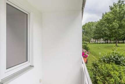 Wohnung Chemnitz Adelsberg - 2 Zimmer, 46 m&sup2;, 254&euro; | Angebot:26780320