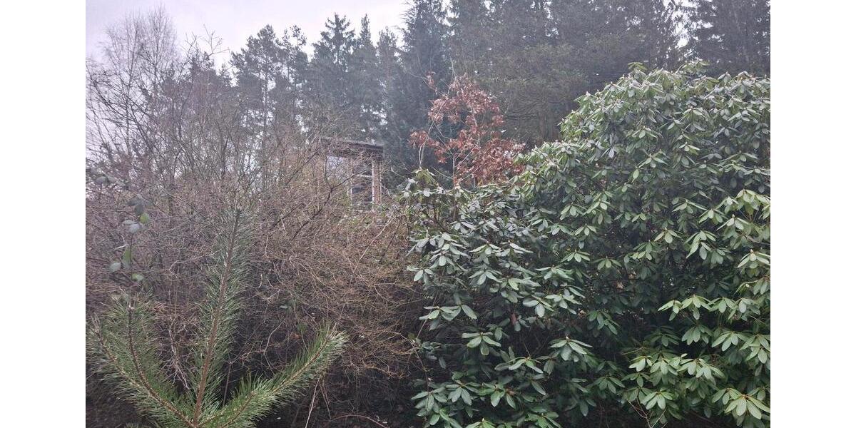 Einfamilienhaus Chemnitz Adelsberg - 65.000&euro; | Angebot:25159458