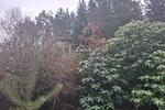 Einfamilienhaus Chemnitz Adelsberg - 65.000&euro; | Angebot:25159458