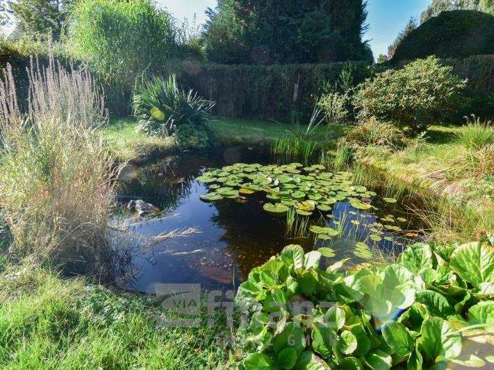 Mehrfamilienhaus, Wohnhaus Chemnitz Stelzendorf - 1 Zimmer, 229 m&sup2;, 250.000&euro; | Angebot:25746530