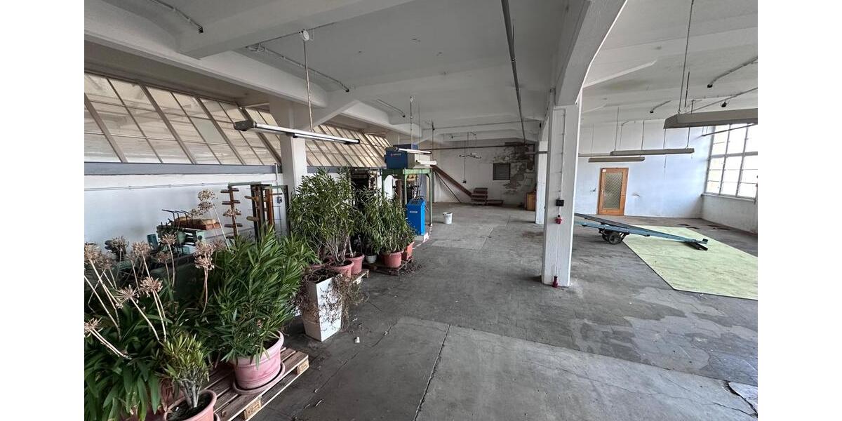 Gewerbeobjekt Frankenberg (Sachsen) - 2.780&euro; | Angebot:25720291