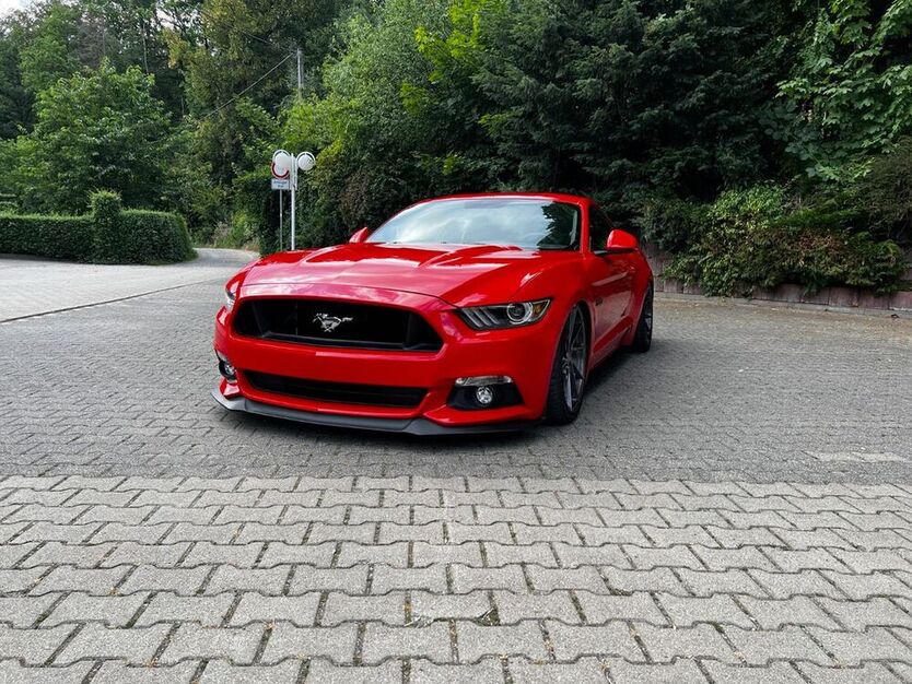 Mustang