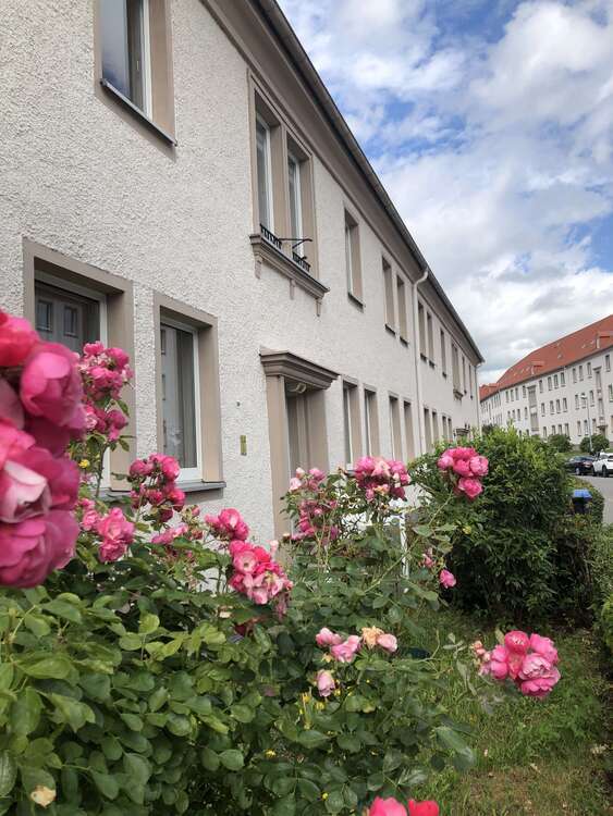 Wohnung zum Mieten in Aue-Bad Schlema 448,80 € 74.8 m²
