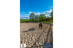 Rundum-sorglos Reitanlage, bezugsfertig Marienberg: Boxen, Reitplatz & Weiden für Freizeitreiter
