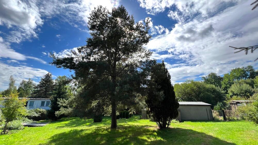 Exclusives Grundstück in grüner ruhiger Lage zimmer