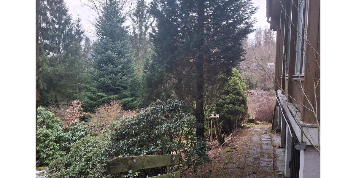 Einfamilienhaus Chemnitz Adelsberg - 65.000&euro; | Angebot:25159458