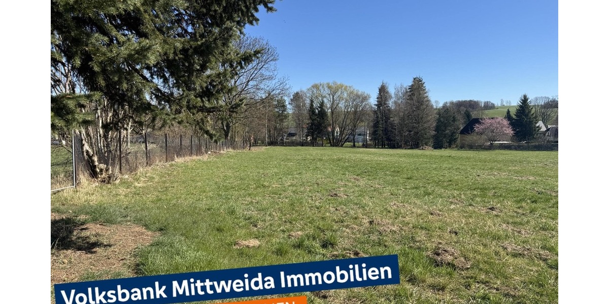 Baugrundstück mit 6.150 m², für 1-6 EFH, in sehr guter Wohnlage! - Grundstück Hainichen | Angebot:26313368