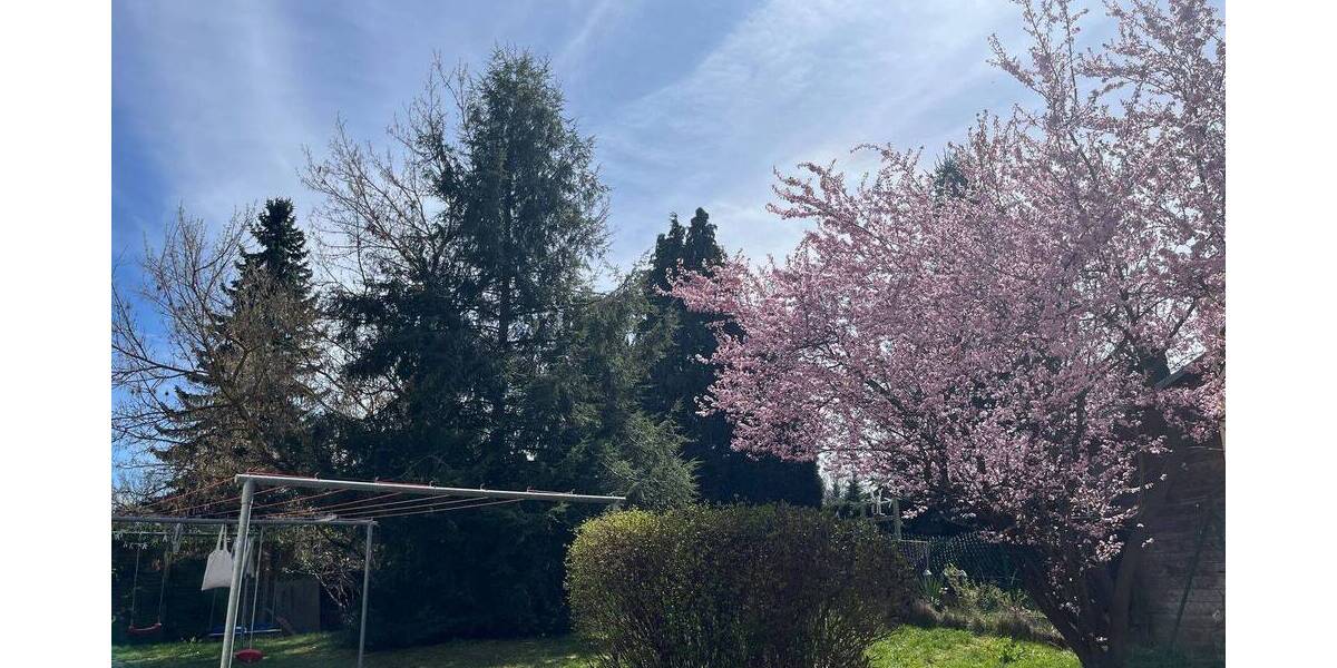 Etagenwohnung Chemnitz Reichenbrand - 2 Zimmer, 55 m&sup2;, 325&euro; | Angebot:26378824