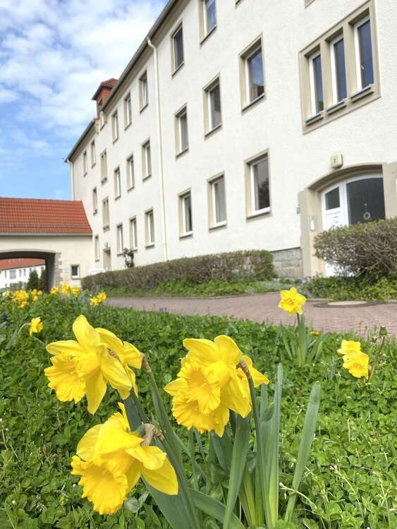 Wohnung zum Mieten in Aue-Bad Schlema 389,52 € 64.92 m²