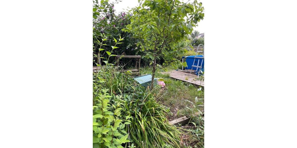 Grundstück Chemnitz Altendorf - 50&euro; | Angebot:24839762