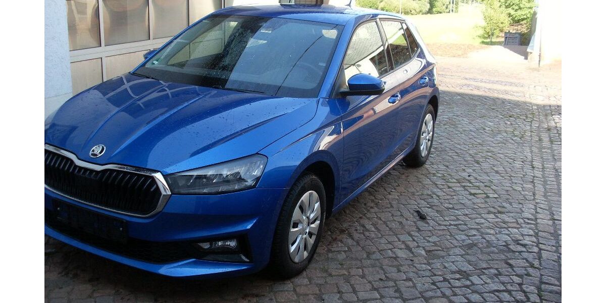 Skoda Fabia 26.700 km 14.500 &euro; Waldheim 04736