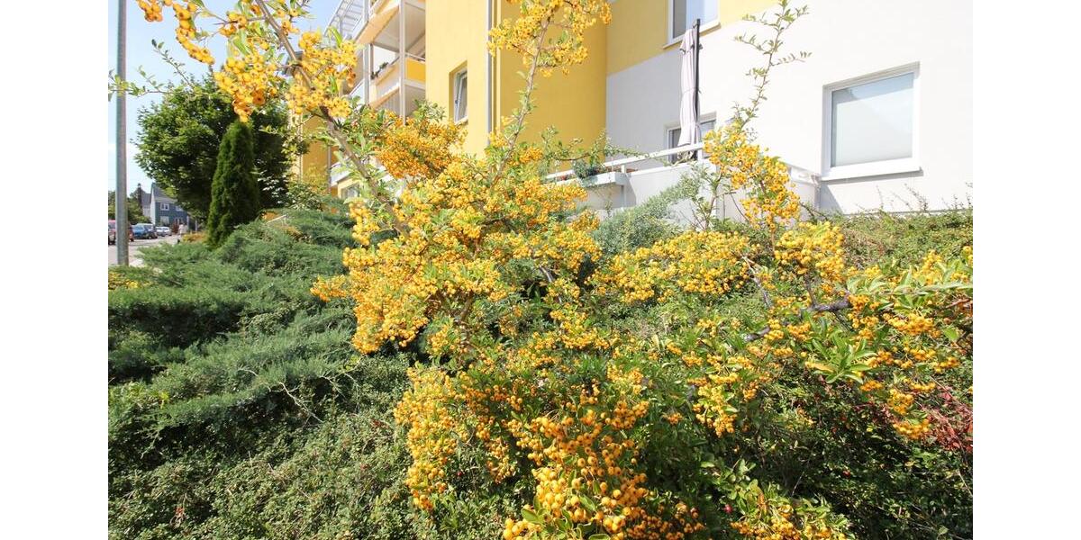 Erdgeschoßwohnung Chemnitz Rabenstein - 2 Zimmer, 47 m&sup2;, 331&euro; | Angebot:26643852