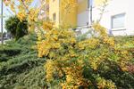 Erdgeschoßwohnung Chemnitz Rabenstein - 2 Zimmer, 47 m&sup2;, 331&euro; | Angebot:26643852
